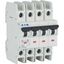 Miniature circuit breaker (MCB), 2 A, 4p, characteristic: C, ring tongue thumbnail 5