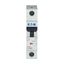 Miniature circuit breaker (MCB), 40 A, 1p, characteristic: Z thumbnail 5