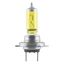 Automotive lamp 55W 12V PX26D 10X2 1A thumbnail 2