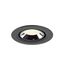 NUMINOS® GIMBLE XS 4000K 20° black/chro. thumbnail 3