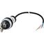 C22-WRS-MS1-K02-P65 Key-operated actuator, RMQ compact solution, maintained, 2 NC, Cable (black) with non-terminated end, 4 pole, 3.5 m, 2 positions, MS1, Bezel: titanium thumbnail 5