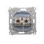 Cover for single socket outlet with earthing IP44 - transparent flap, Silver matt, metalic thumbnail 2