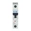 Miniature circuit breaker (MCB), 4 A, 1p, characteristic: D thumbnail 12