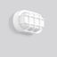 Alu-Lux oval, 8 W, 480 lm, 830, white, on/off Ceiling and wall luminai thumbnail 2
