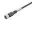 Sensor/actuator line, One end without connector, M12, Number of poles : 3, 10 m, Female socket, straight, Shielded: No, LED: No, Sheath material: PUR, Halogen: No thumbnail 2