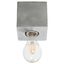 CEILING ARIZ CONCRETE E27 1X60W IP20 thumbnail 2