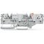 2-conductor carrier terminal block for DIN-rail 35 x 15 and 35 x 7.5 2 thumbnail 1