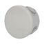 Box AcquaBOX 3027 IP65 round, dia thumbnail 2