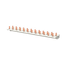 MD99 thumbnail 2