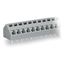 PCB terminal block 2.5 mm² Pin spacing 5/5.08 mm light gray thumbnail 3