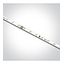 LED STRIP 24V DC EW 5m ROLL 9,6W/m IP20 thumbnail 1