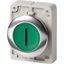 M30C-FDRL-G-X1 Illuminated pushbutton actuator, RMQ-Titan, Flat, maintained, green, inscribed, Metal bezel thumbnail 2