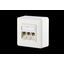 E-DAT modul 3 port AP Cat.6A, pure white thumbnail 2
