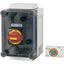 NZM1-XCI23-TVDVR Insulated enclosure, box size HxWxD=250x187.5x175mm, for NZM size 2 thumbnail 3