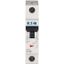 Miniature circuit breaker (MCB), 4 A, 1p, characteristic: D thumbnail 2