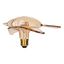 LED Bird Gold E27 4W 2200K DIM thumbnail 5