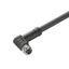 Power cable, One end without connector, M12, Number of poles : 3 (2 + PE), 3 m, Socket, angled, Shielded: No, LED: No, Sheath material: PUR, Halogen: No thumbnail 2