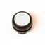 M22S-DR-W Pushbutton, RMQ-Titan, Flat, maintained, White, Blank, Bezel: black thumbnail 1