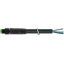 M8 male 0° A-cod. with cable Lite PUR 3x0.25 bk 2.5m thumbnail 1