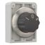 M30I-FW3 Changeover switch, RMQ-Titan, with rotary head, momentary, 3 positions, inscribed, Front ring stainless steel thumbnail 14