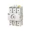 RD30-3 Switch 30A Non-F 3P UL98 thumbnail 16