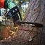 Scheppach Petrol Chainsaw CSH46 thumbnail 5