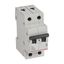 MCB RX³ 6000 - 2P - 230/400V~ - 63 A - C curve - prong/fork type supply busbars thumbnail 1