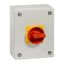 P3 Main switch, 80 A,Surface mounting, 3 pole, Form SE, Red, Door coup thumbnail 8