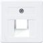 Centre plate for 1-gang modular jack 169-1UAEWW thumbnail 2