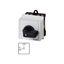 T0-2-8324/IVS On-Off switch, T0, 20 A, service distribution board mounting, 2 contact unit(s), 4 pole, with black thumb grip and front plate thumbnail 2