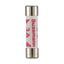 Fuse-link, Overcurrent NON SMD, 3 A, AC 240 V, BS1362 plug fuse, 6.3 x 25 mm, gL/gG, BS thumbnail 37