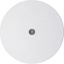 Centre plate for cable out., R.1/R.3/R.classic, p. white glossy thumbnail 1