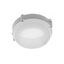 LED luminaire LUXIA, 10 W, 700 lm, 4000K, AC220-240V, IP65, 220°, round thumbnail 1