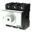 P3 Main switch, 80 A,Rear mounting, 3 pole, Form X, Other, Other thumbnail 1