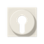 Cover plate f. key switch A528PL thumbnail 5