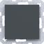 Blank plate with central plate, A.x/C.x, anthracite thumbnail 1