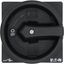 SVB-SW-T0 Thumb-grip, black, lockable with padlock, for T0, T3, P1 thumbnail 33