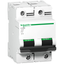Miniature circuit-breaker, Acti9 C120N, 2P, 100 A, D curve, 10000 A (IEC 60898-1), 10 kA (IEC 60947-2) thumbnail 3