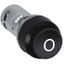CP9-1006 Pushbutton thumbnail 3