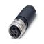 SACC-MINFS-4CON-PG13 - Connector thumbnail 1
