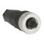 Cable Jumper straight M12 8-pin Male, straight M12 8-pin Female, PUR c thumbnail 26