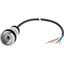 C22-DR-X-K01-P62 Pushbutton, classic, flat, maintained, 1 N/C, cable (black) with non-terminated end, 4 pole, 1 m thumbnail 5