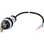 C22-WS3-MS1-K20-P62 Key-operated actuator, RMQ compact solution, momentary, 2 N/O, Cable (black) with non-terminated end, 4 pole, 1 m, 3 positions, MS1, Bezel: titanium thumbnail 2