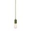 FITU pendant, A60, round, fern-green, max. 60W thumbnail 1