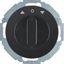 Blind switch 1-prong + center piece, Series R.classic black thumbnail 1