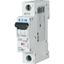 Miniature circuit breaker (MCB), 8 A, 1p, characteristic: D, 6 kA thumbnail 1