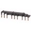 B3.1/3-PKZ4 Three-phase busbar link, Circuit-breaker: 3, 183 mm thumbnail 1