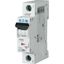 PL6-D20/1 Miniature circuit breaker (MCB), 20 A, 1p, characteristic: D thumbnail 2