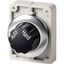 M30I-FWR-X91 Changeover switch, RMQ-Titan, with rotary head, maintained, 2 positions, inscribed, Front ring stainless steel, AUTO HAND thumbnail 2