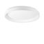 ZIGGY PL D100 BIANCO thumbnail 2